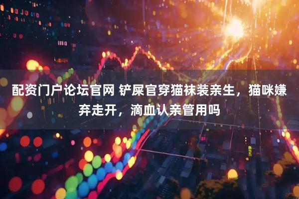 配资门户论坛官网 铲屎官穿猫袜装亲生，猫咪嫌弃走开，滴血认亲管用吗